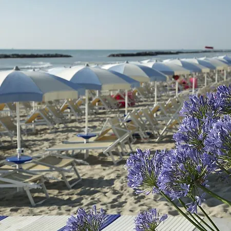 I Delfini Cupra Marittima