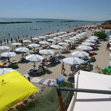 I Delfini Cupra Marittima